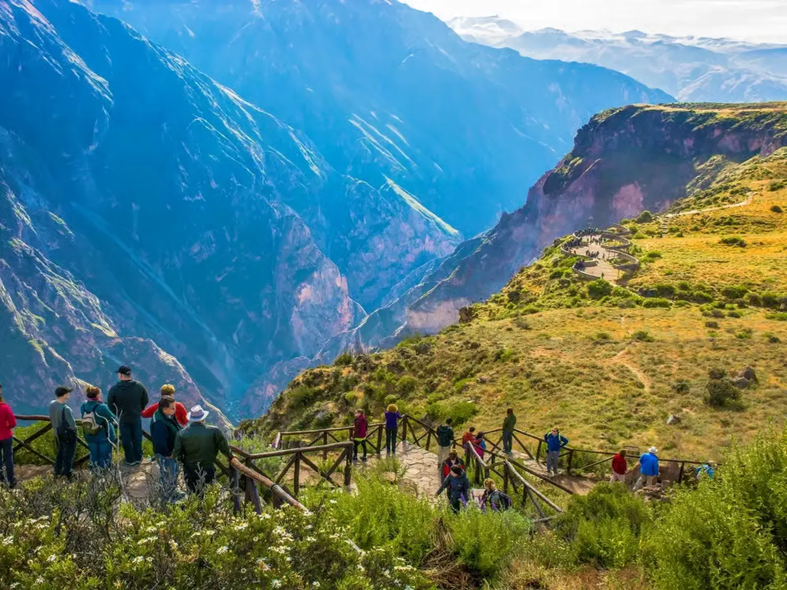 Cañon del Colca Vista panoramica Arequipa Peru.webp