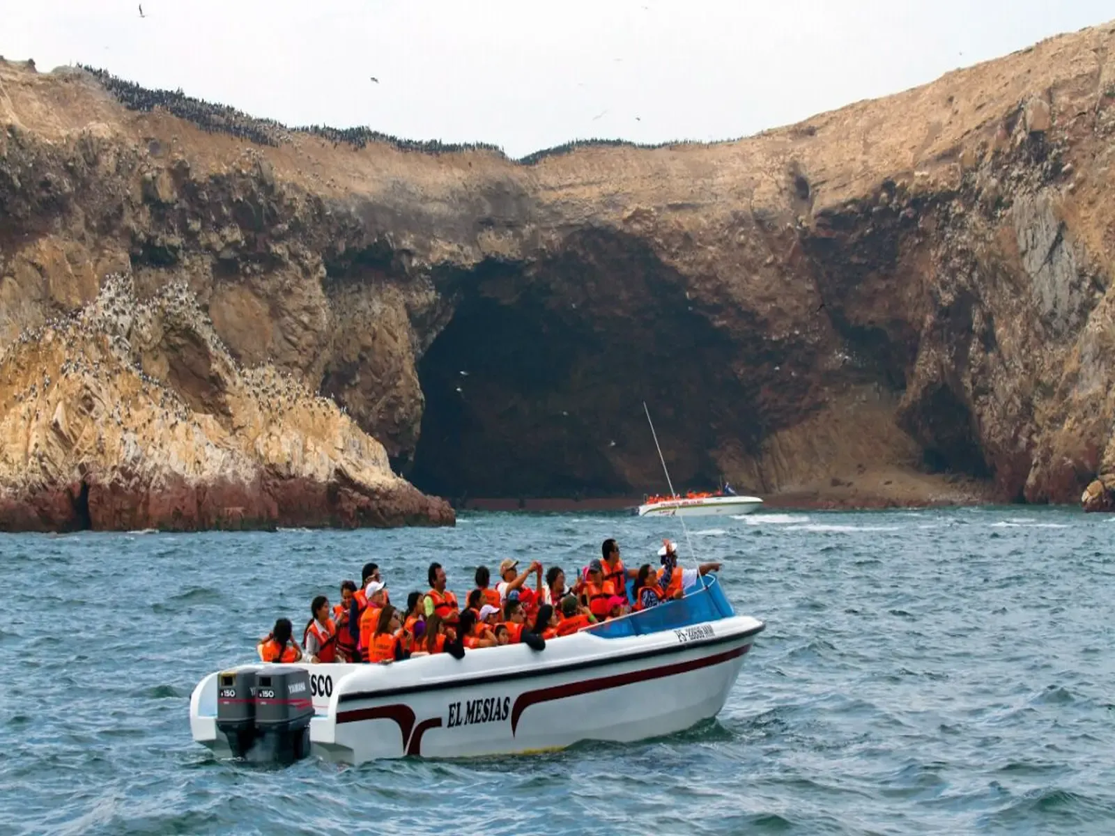 Excurcion Islas ballestas Paracas Ica Perú.webp
