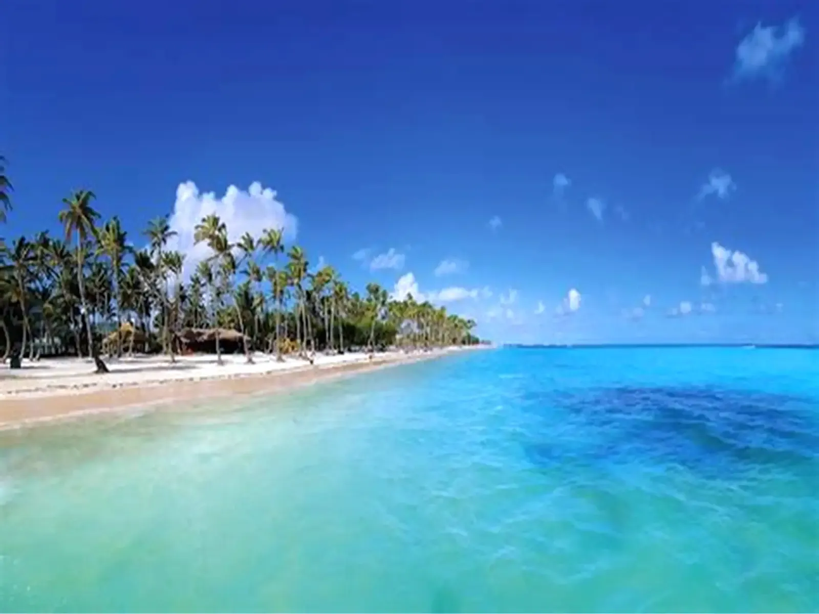 Punta Cana 222.webp