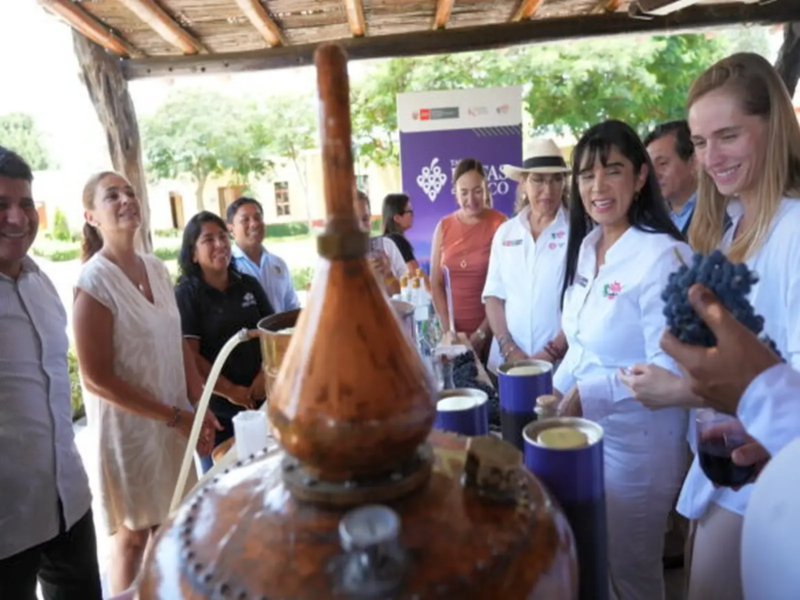 Ruta del Pisco Peruano Catar Ica Perú.webp