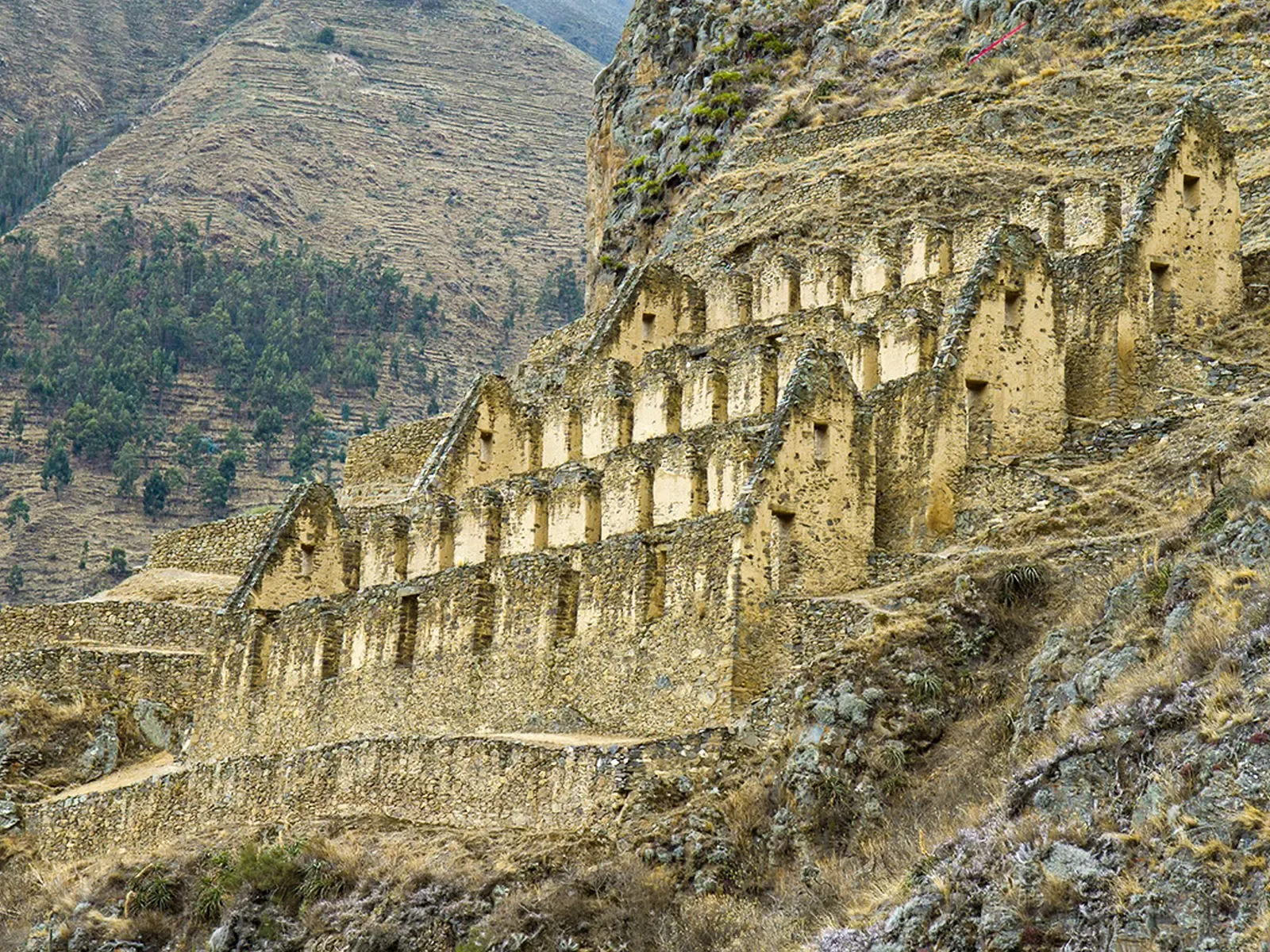 MACHU PICCHU 2D Y 1N