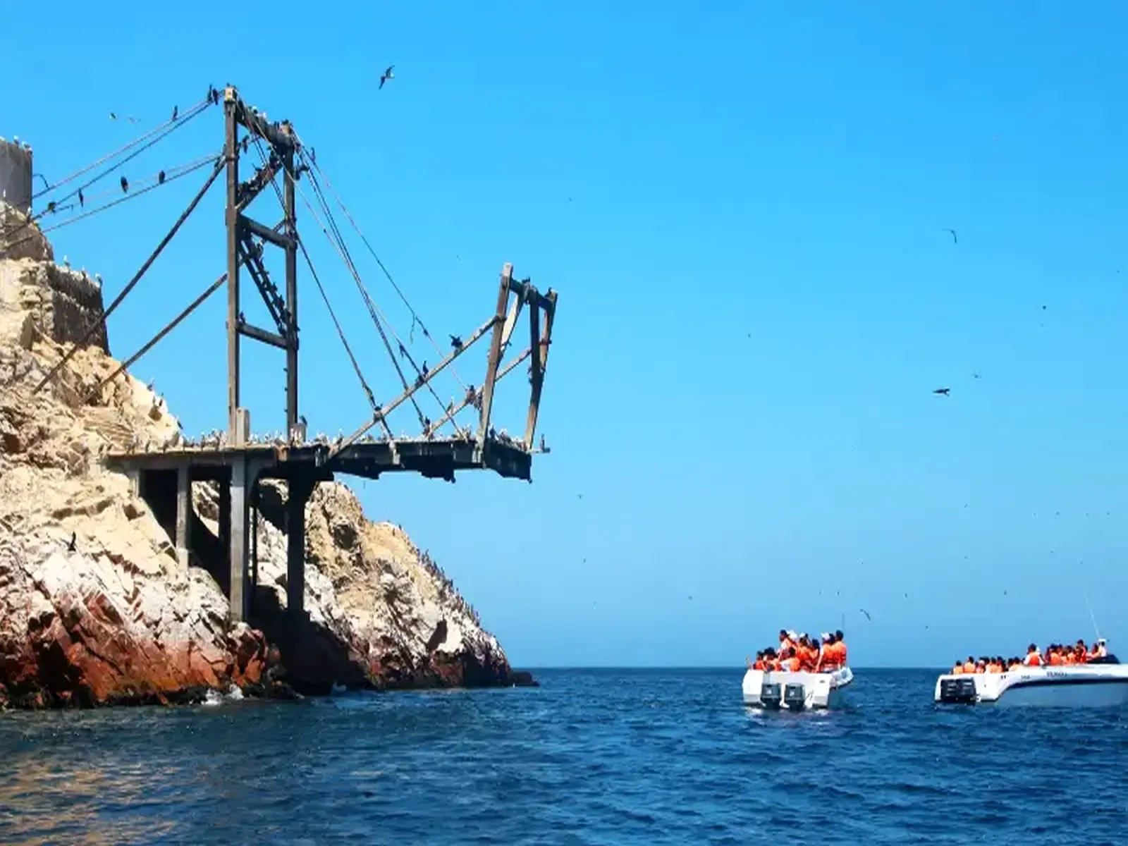 islas-ballestas- Paracas ica Perú.webp