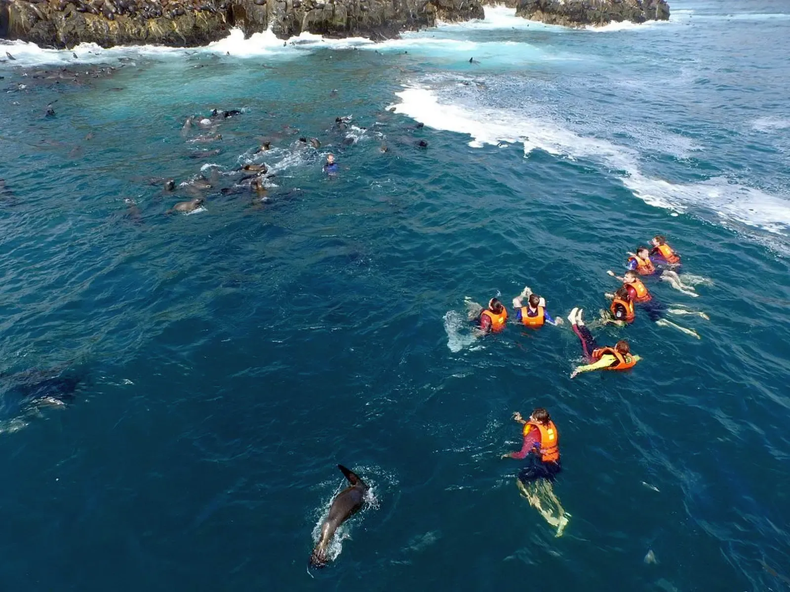 islas-palomino (3).webp
