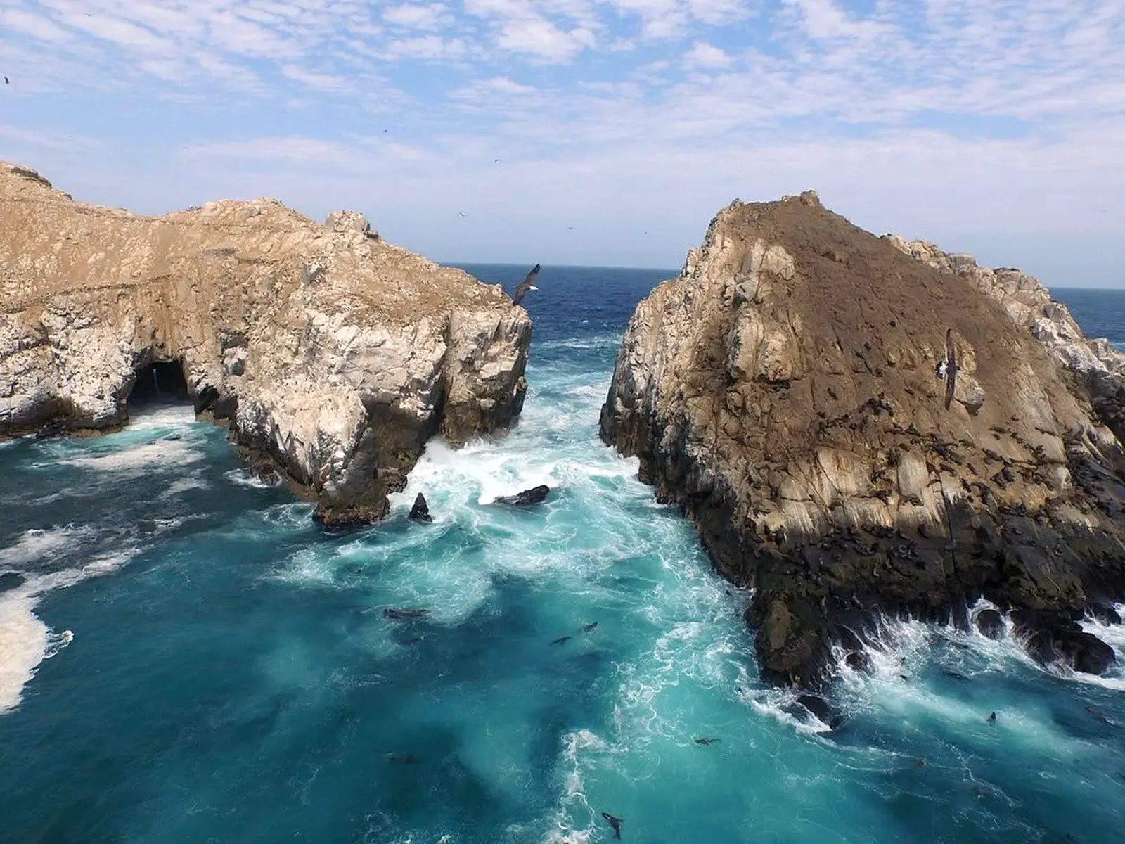 islas-palomino.webp
