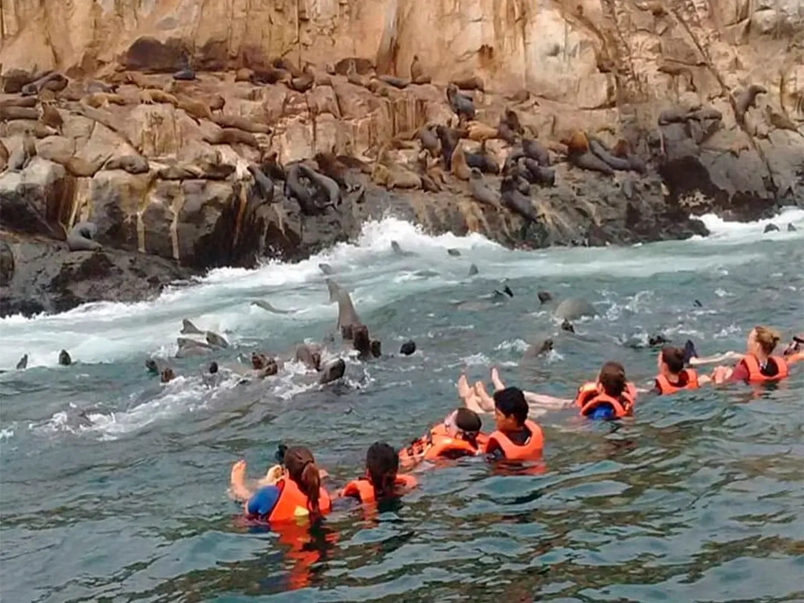 islas-palomino-callao (1).webp