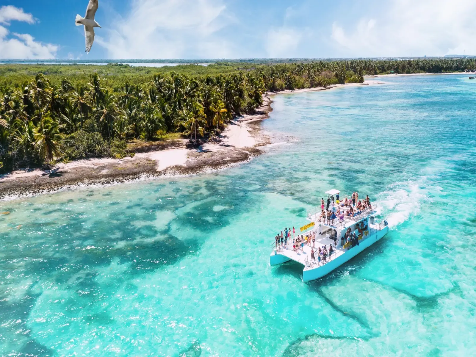 mejores-cosas-para-hacer-en-punta-cana.webp