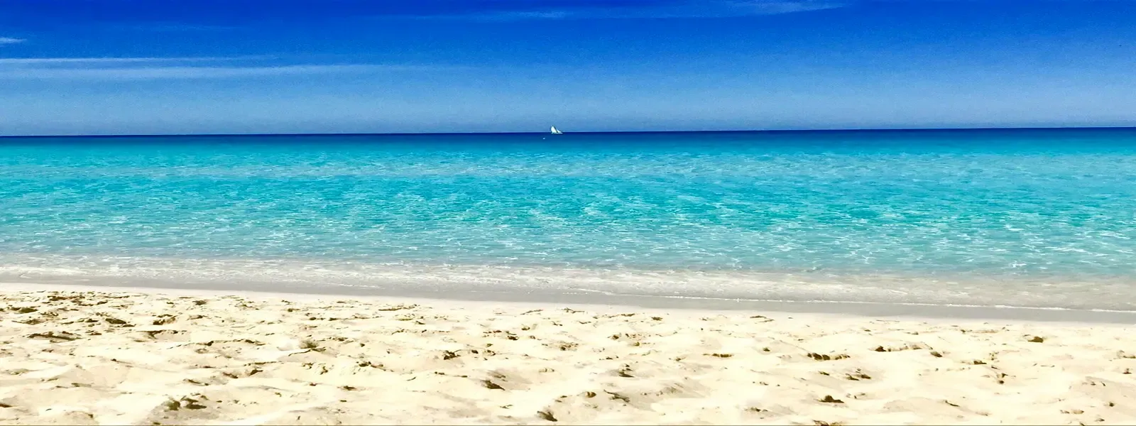 one-of-the-best-beaches.webp