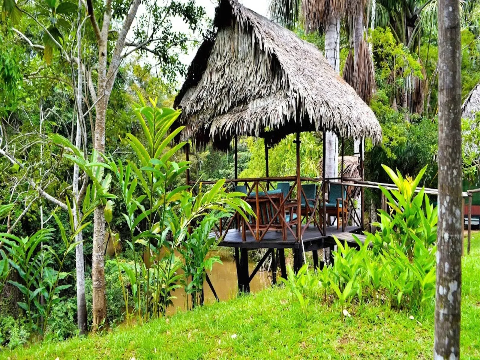 puerto_maldonado2 Peru.webp