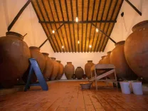 Bodega de Pisco  Ica Perú.webp