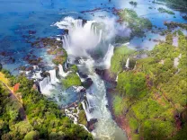 Fox de Iguazu 44.webp