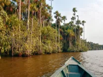 Puerto-Maldonado-Amazon-Peru 02.webp