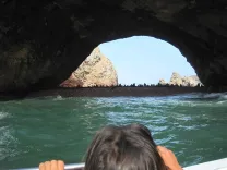 islas-palomino (2).webp