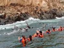 islas-palomino-callao (1).webp