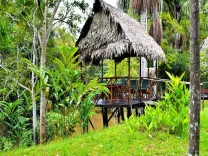 puerto_maldonado2  Peru.webp