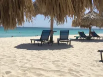 shaded-tiki-hut-and-beach.webp